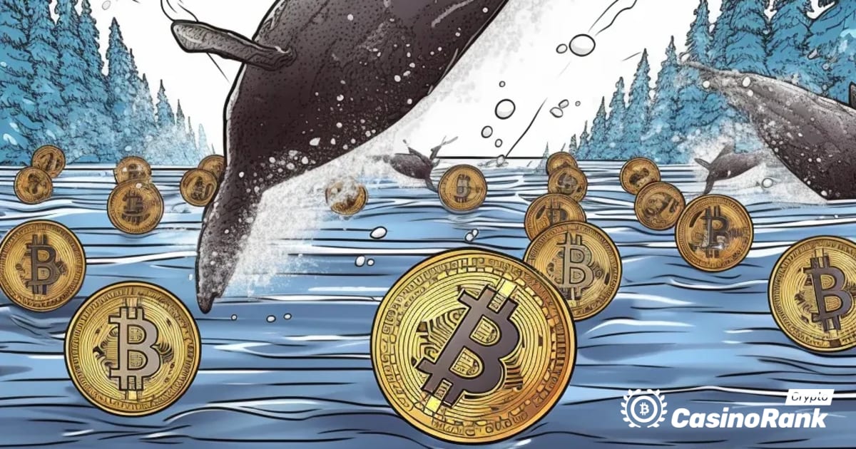 Movimenti delle balene nel mercato delle criptovalute: trasferimenti di token MATIC e SOL